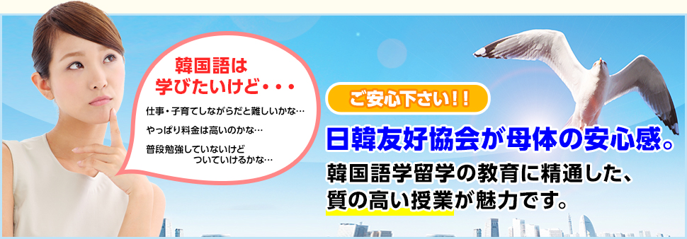 韓国留学実績No.1